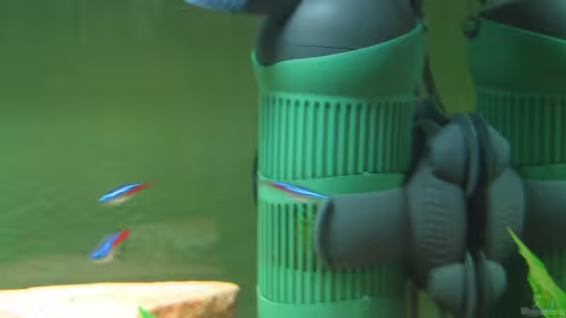 Eheim Aquaball 2210 von Marvao (9)