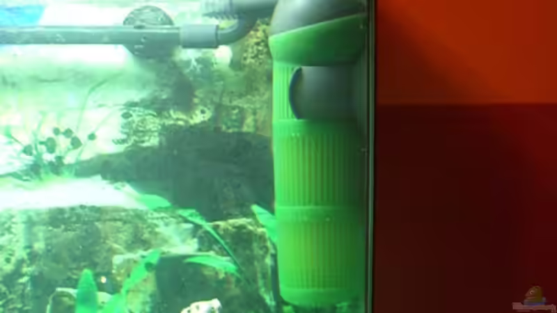 Eheim Aquaball 2210 von Pascal Lehmann (6)