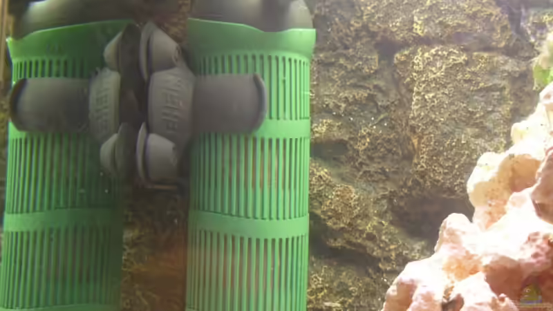 EHEIM Aquaball 2212 von Jürgen Langer (17)