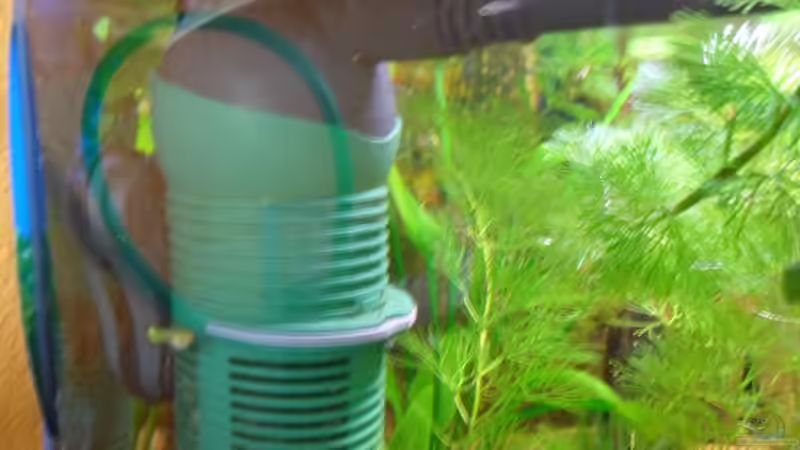 Eheim Aquaball 60 von McCena (11)