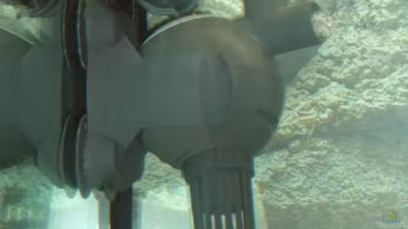 Eheim Aquaball von Andreas Gassner (5)