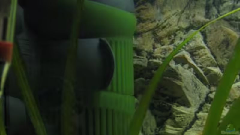 Eheim aquaball von Carsten Ziß (5)