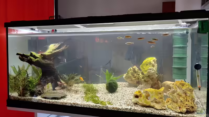 EHEIM Aquapro LED 180 von Juno (1)