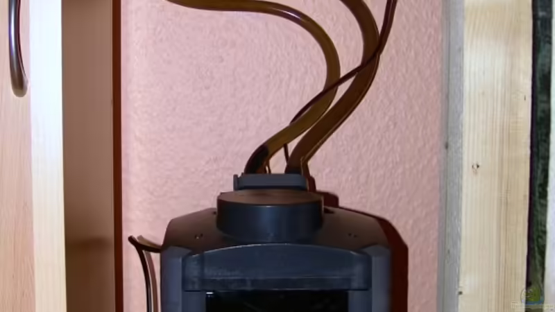 Eheim Aussenfilter  von Malawi Freak (10)
