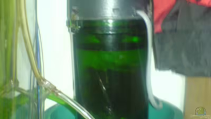 Eheim Aussenfilter 2011 von t-time (11)