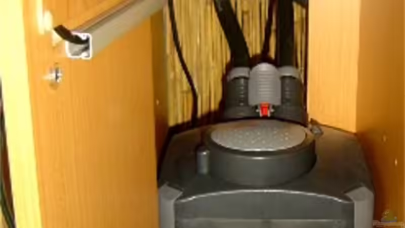 Eheim Außenfilter 2126 Thermo Controll von David Weidenbacher (21)