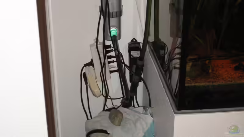 Eheim Außenfilter geräuschgedämmt von der Theoretiker (67)