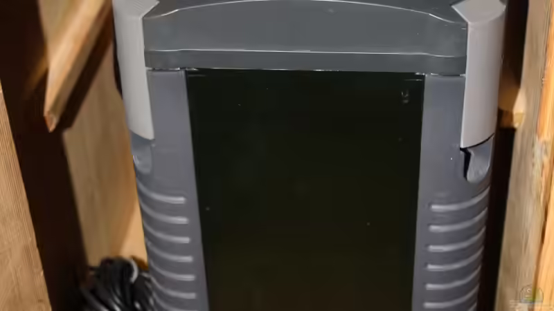 Eheim Aussenfilter im Unterschrank von SouthAmerica (19)