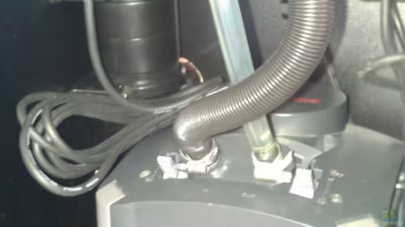 Eheim-Außenfilter mit UVC-Klärer von diskuseum (12)