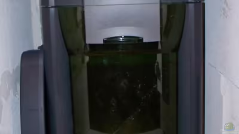 Eheim Außenfilter professionell-3 im Unterschrank links von Michael Boeck (45)