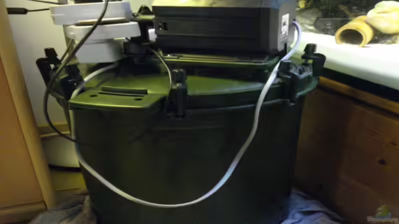 Eheim Außenfilter von Alexander Beutner (14)