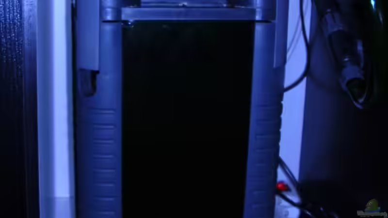 Eheim Außenfilter von Bungi (7)