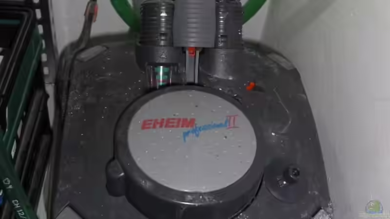 Eheim Aussenfilter von Malawi TOM (23)