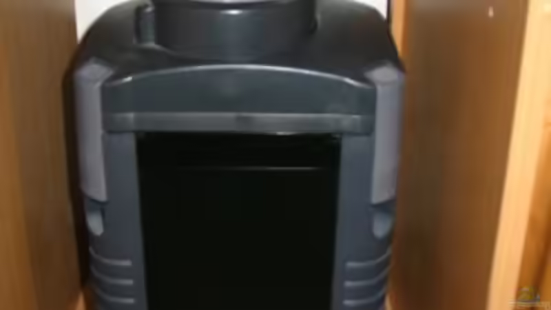 Eheim-Außenfilter von Sabine Hoffmann (16)