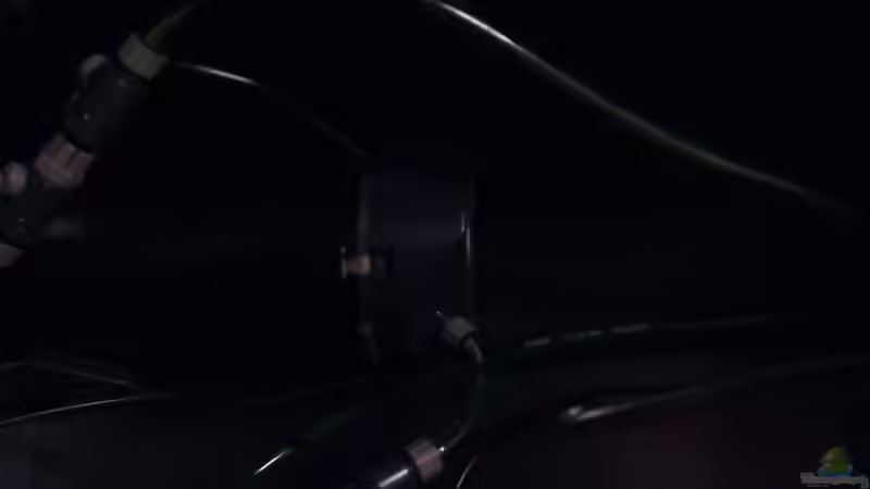 Eheim Aussenfilter von Sascha Kiefer (6)