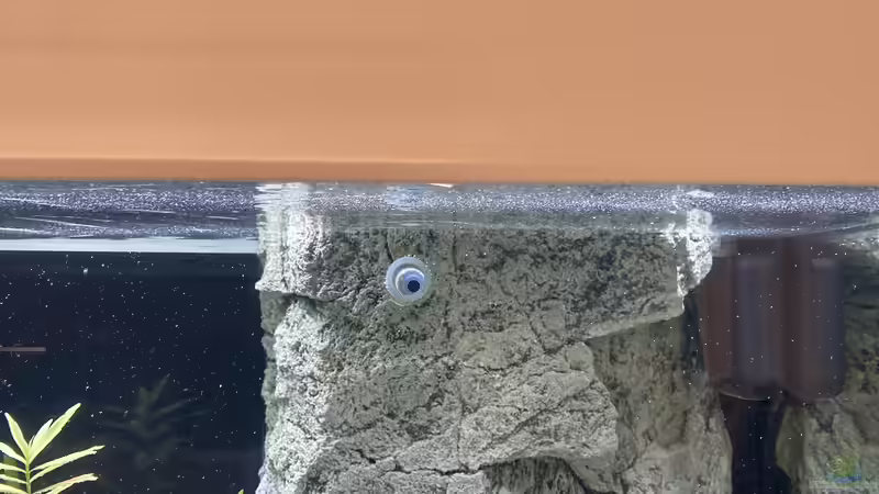 Eheim Biopower im Filtermodul von Daniel Martick (4)