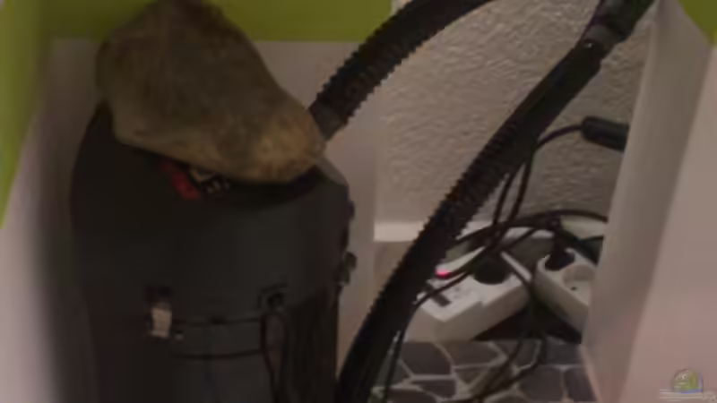 Eheim Classic 2213 mit Schalldämpfer :-) von Markus J. (21)