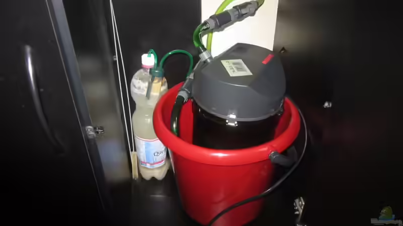 Eheim classic 2215 und Bio CO2 Flasche von Mieze2010 (12)
