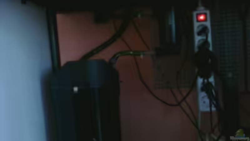 Eheim Classic 2217 mit Tetratec UVC-400 von CICHLID (21)