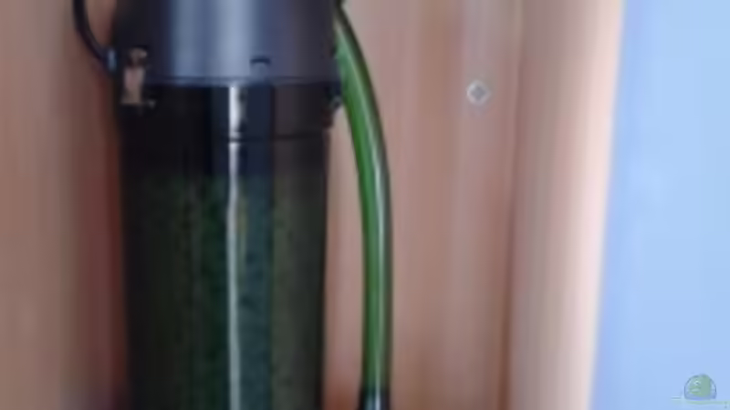 Eheim Classic von Martin W. (25)