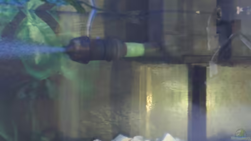 Eheim compact  1002 mit Diffusor von Maik Böhme (10)