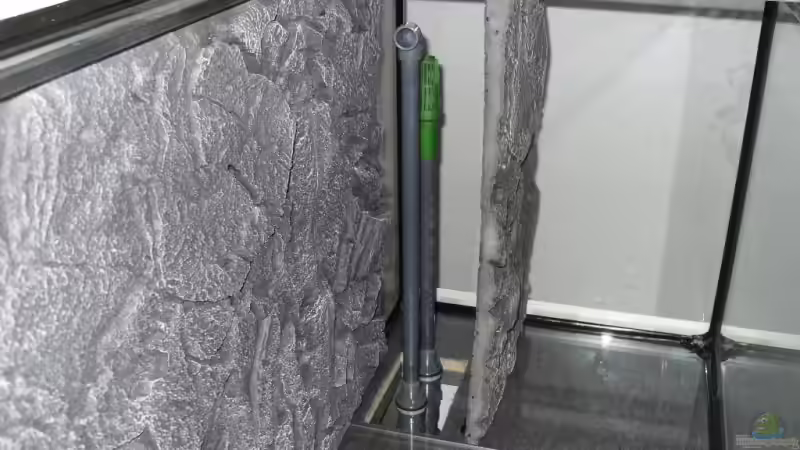 Eheim Direktanschluss von Dr. Manhattan (15)