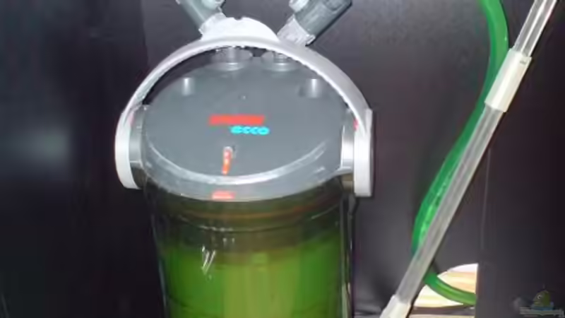 Eheim ecco Außenfilter von Alihsan Boeklers (9)