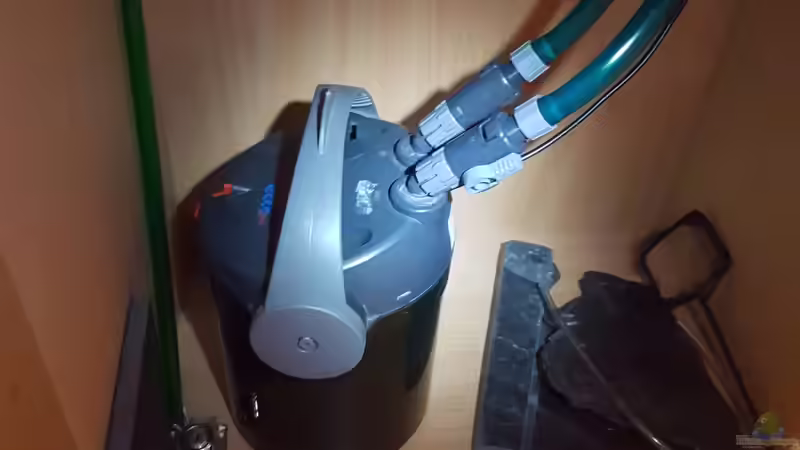 Eheim Ecco Pro , wird bald vom JBL 900E ersetzt  von Aquarius1988 (38)