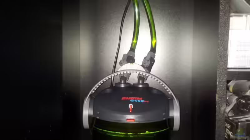 Eheim ecco pro 130 Außenfilter von Kaddi (15)