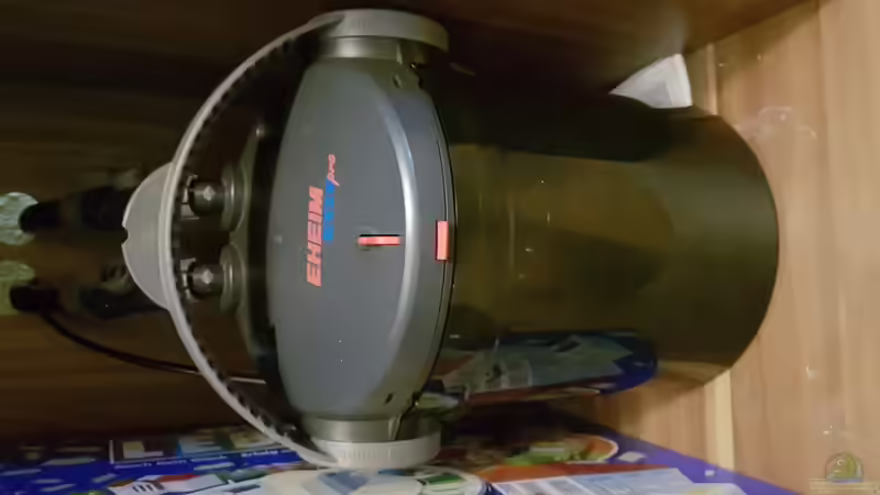 Eheim Ecco Pro 130 von Rotkopfsalmler (8)