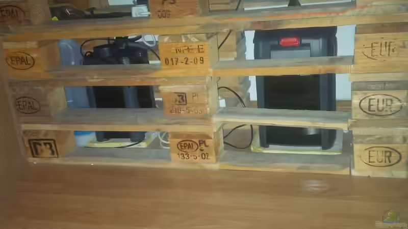 Eheim eXperience 250 und EHEIM 2426 eXperience 350 Außenfilter  von pacho (14)