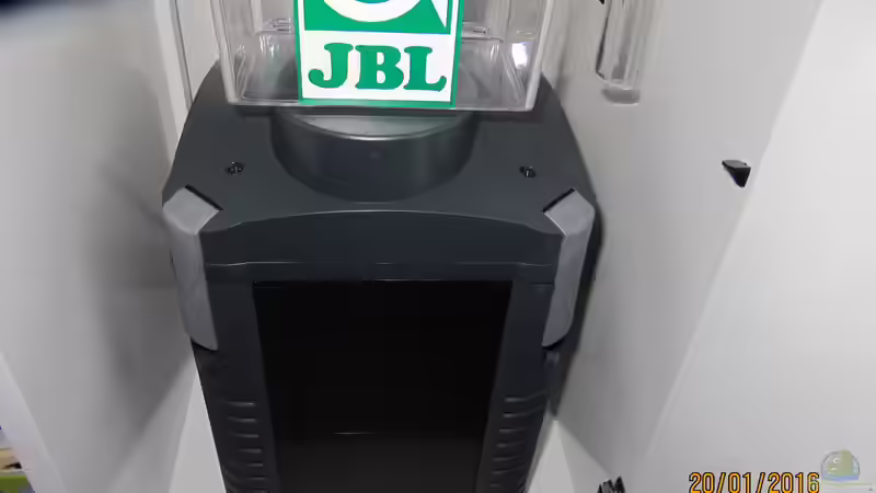 Eheim Experience 350 von rainbow2010 (25)