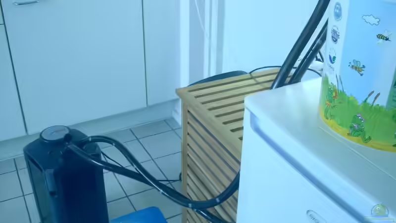 eheim Filter läuft am Eimer weiter bei Umgestaltung von nemo0109 (22)