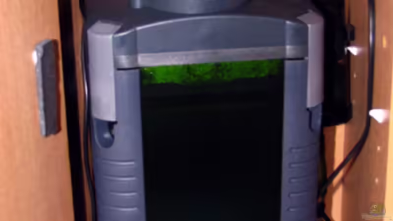 Eheim-Filter mit CO2-Reactor von Nicole Welz (11)