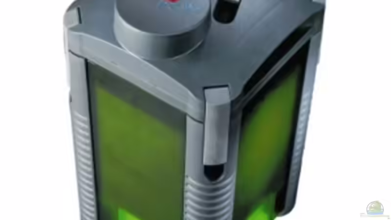 Eheim Filter Professionel 2 von Marcel Reiter (19)