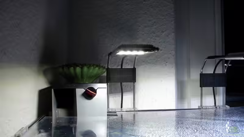 Eheim Hang on Filter und die 2 Led-Leuchten von Grünhexe (11)