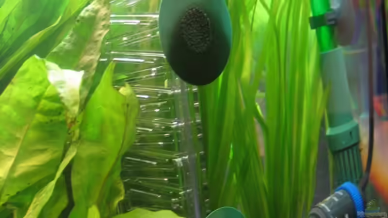 Eheim Heizstab, dennerle CO2 Flipper von Marco B. (21)