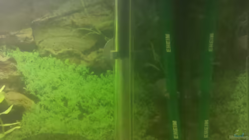 EHEIM Heizstab von De Millo (18)