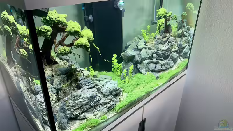 EHEIM Incpiria 300 - 1 von Dominic (2)