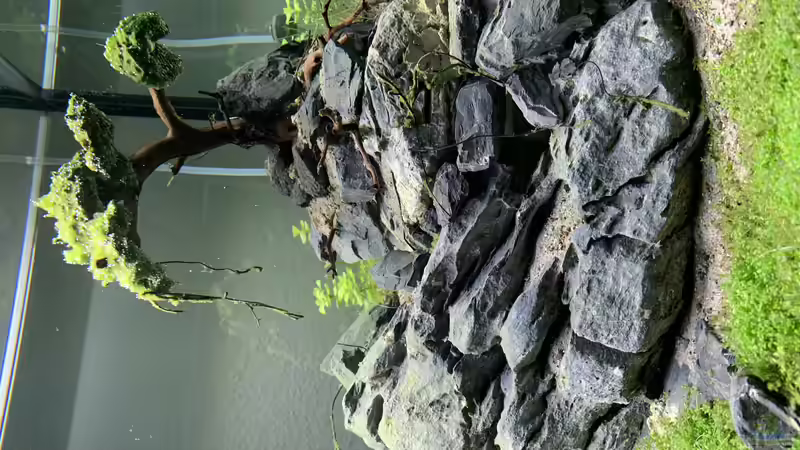 EHEIM Incpiria 300 - 10 von Dominic (11)