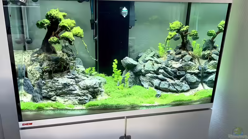 EHEIM Incpiria 300 - 2 von Dominic (3)