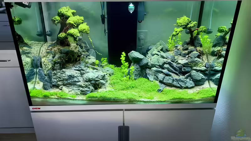 EHEIM Incpiria 300 - 5 von Dominic (6)