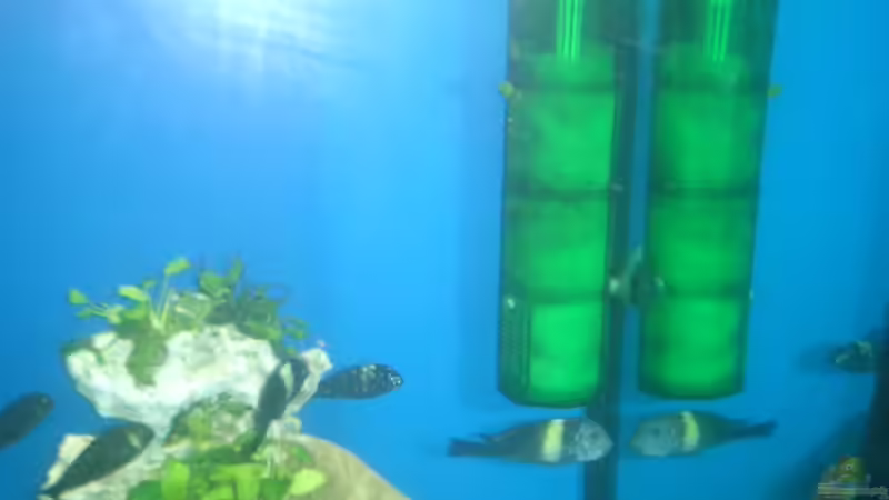 Eheim Innenfilter von Christian Köster (7)