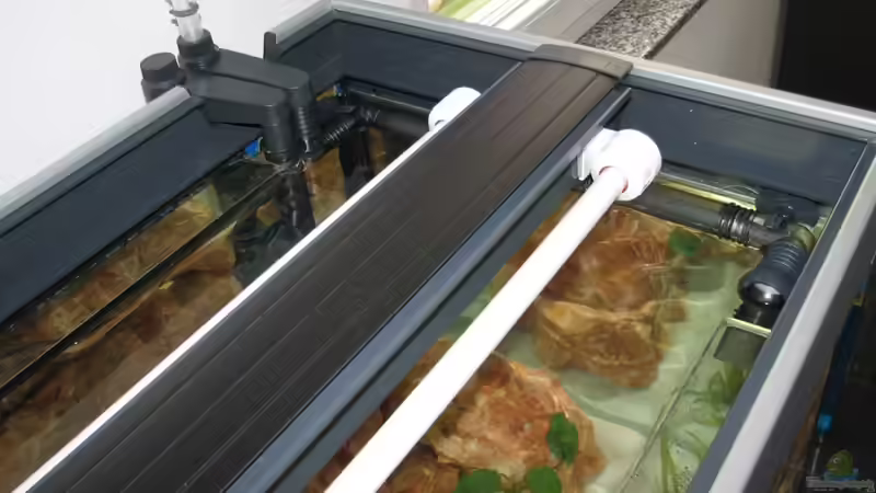 Eheim Installations Set 1 + 2 und T5 Beleuchtung von WSP (15)