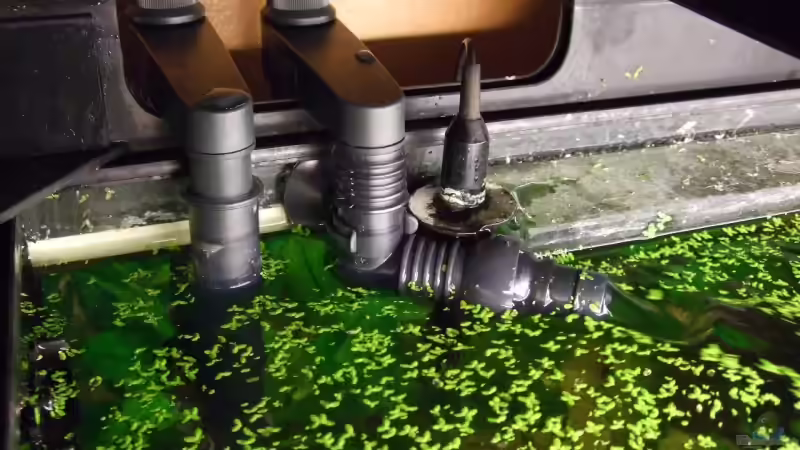 Eheim Installations SET 1 und 2, Einlauf mit Kugelgelenk. von Udo Müller (25)