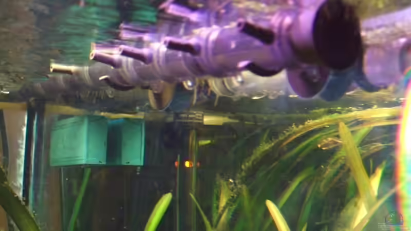 Eheim Installations SET 2 für 2078 e von Udo Müller (24)