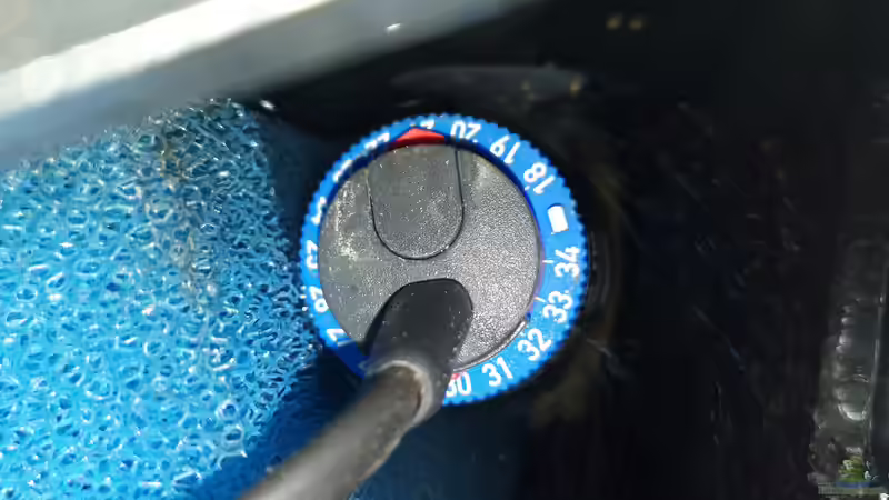 Eheim/Jäger 300 Watt Heizstab von Florian Bandhauer (78)