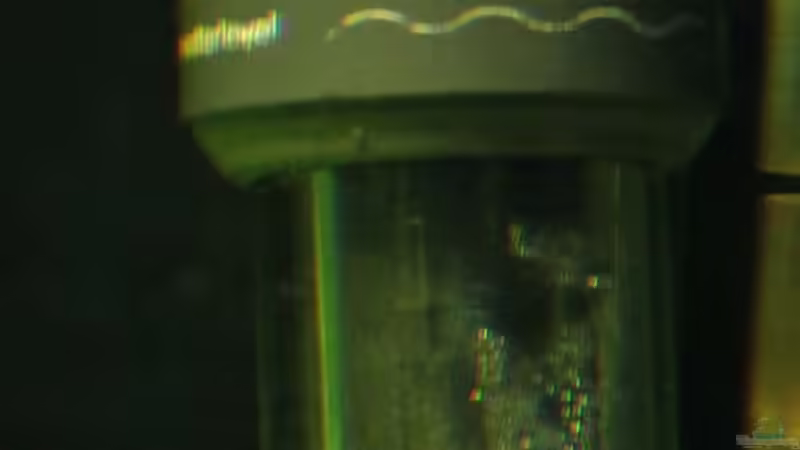 EHEIM Jäger Aquarien Reglerheizer von David B (33)