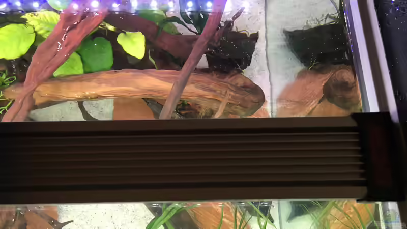 Eheim LED Leuchtbalken von Ottche (36)