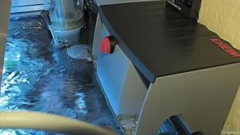 Eheim Liberty von Petra Kallmeyer (15)